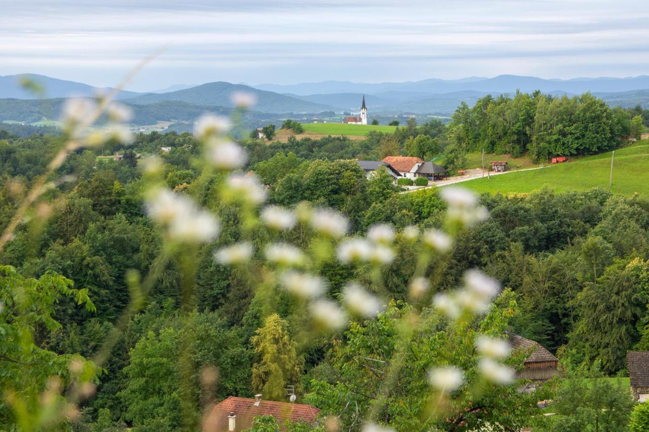 Domacija Vesel Villa Trebnje Exteriör bild