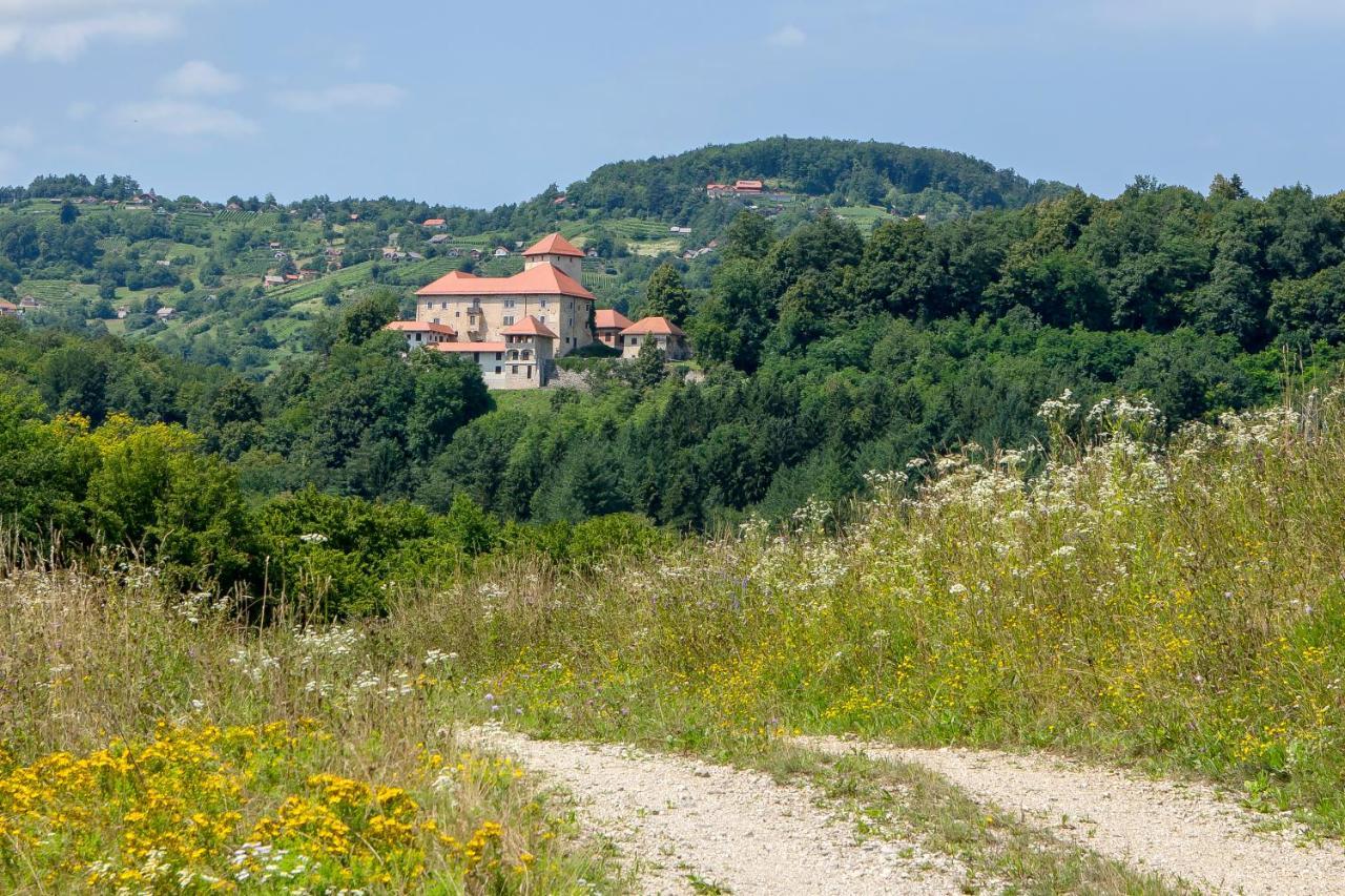 Domacija Vesel Villa Trebnje Exteriör bild