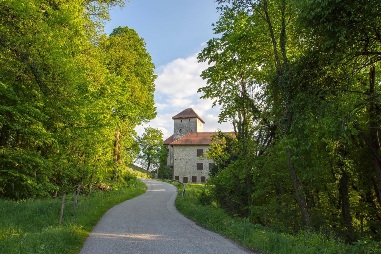 Domacija Vesel Villa Trebnje Exteriör bild
