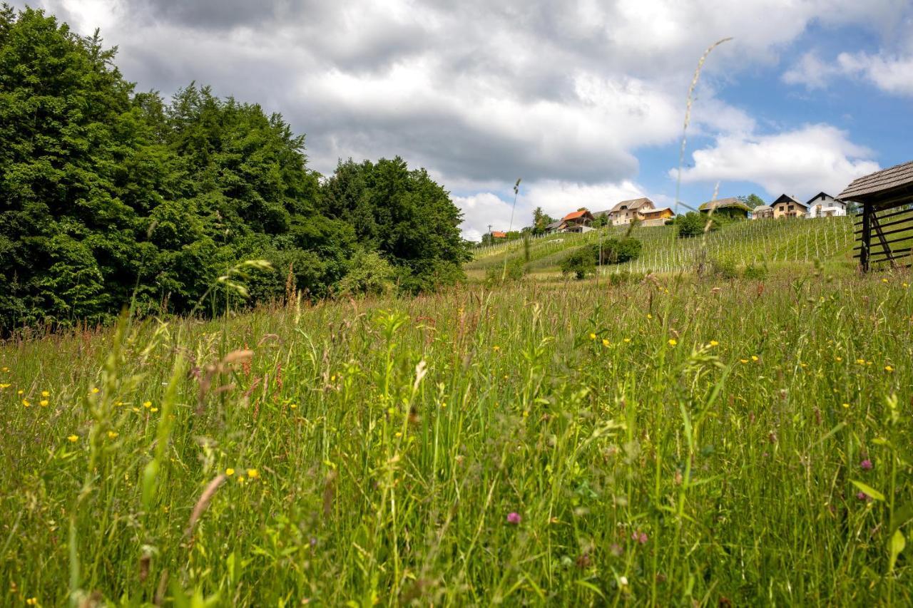 Domacija Vesel Villa Trebnje Exteriör bild