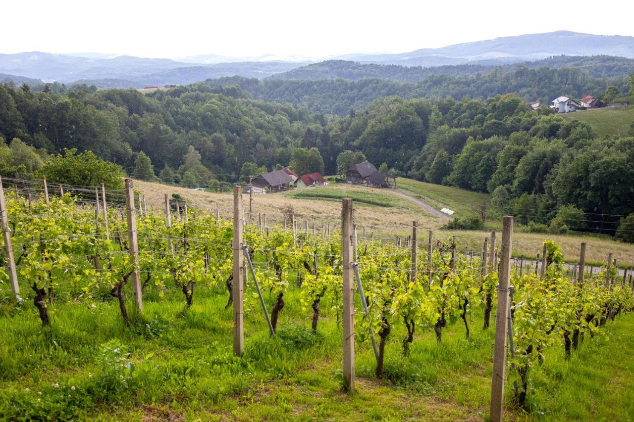 Domacija Vesel Villa Trebnje Exteriör bild
